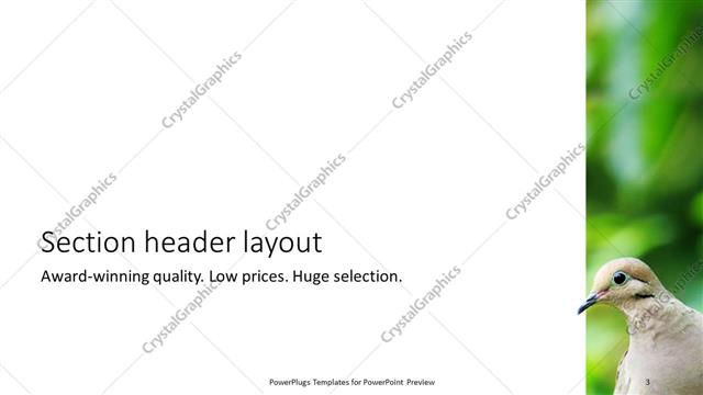 Section Header presentation slide layout