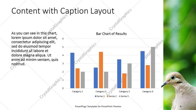 Content with Caption presentation slide layout