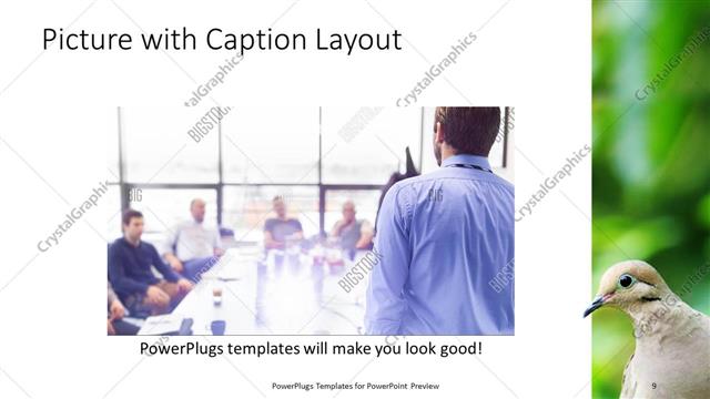 Picture with Caption presentation slide layout