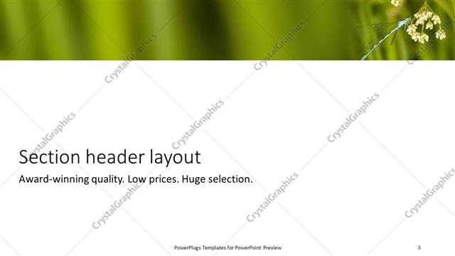 Section Header presentation slide layout