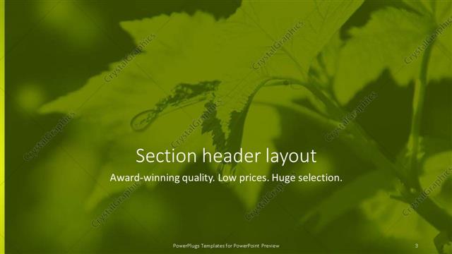 Section Header presentation slide layout