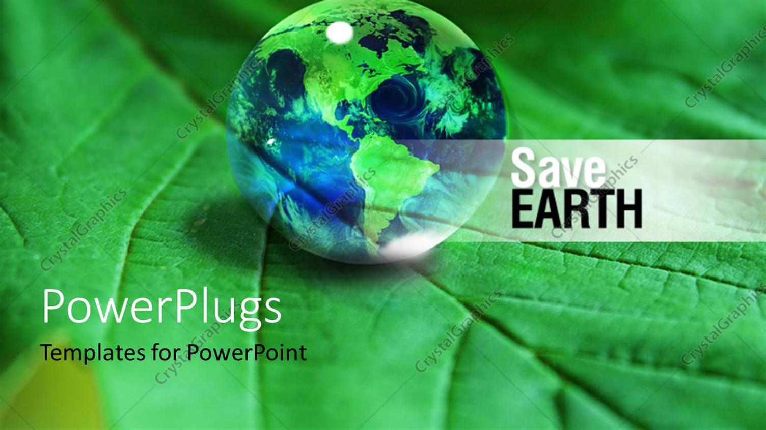 Premium Template for PowerPoint & Google Slides 