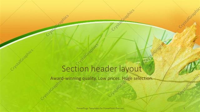 Section Header presentation slide layout