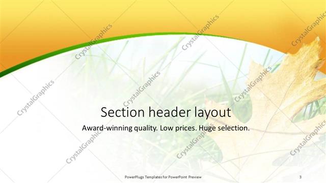 Section Header presentation slide layout