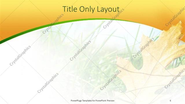 Title Only presentation slide layout