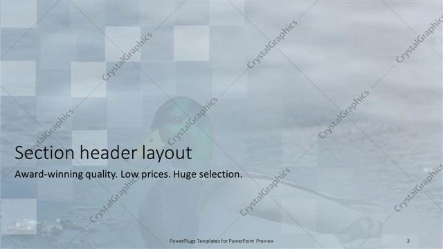 Section Header presentation slide layout