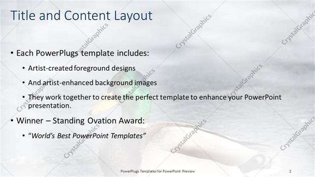 Title and Content presentation slide layout