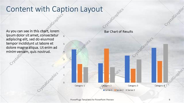 Content with Caption presentation slide layout