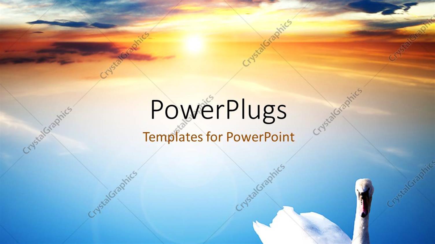 Premium Template for PowerPoint & Google Slides 