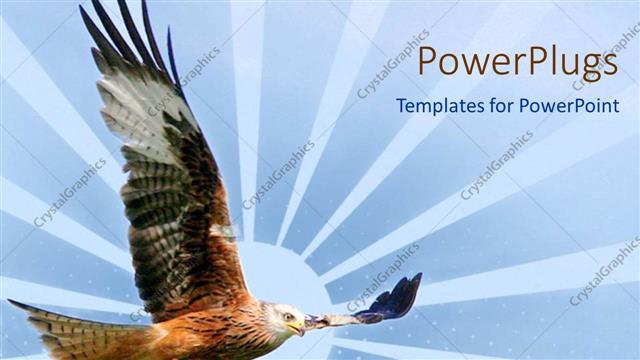  Presentation with eagle flying - Eagle flying with wide open wings design depiction of sun with large rays on blue background