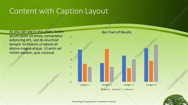 Content with Caption presentation slide layout