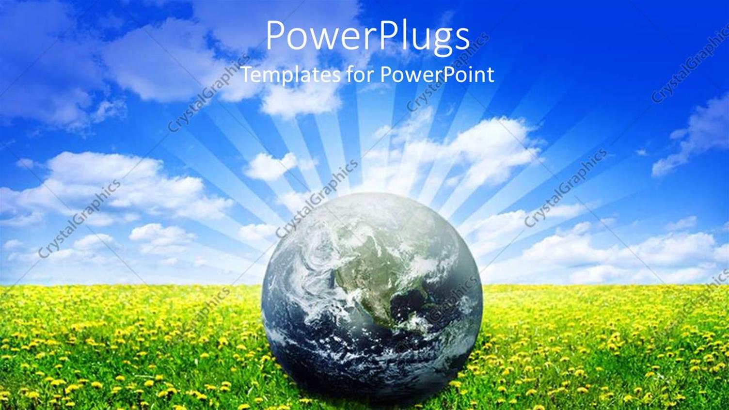 Premium Template for PowerPoint & Google Slides 