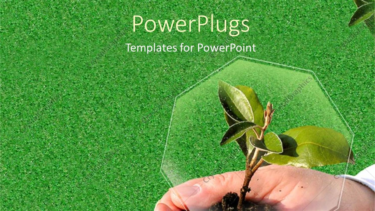 Premium Template for PowerPoint & Google Slides 
