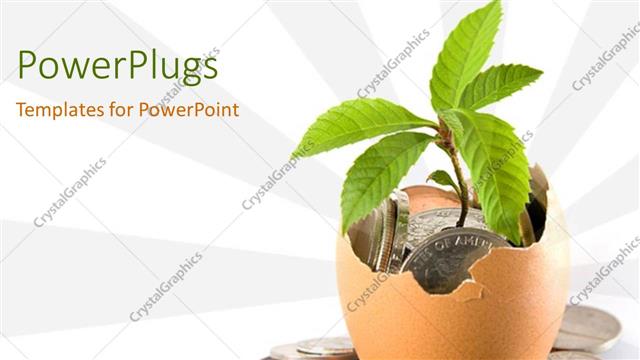  Presentation with eggshell - Eggshell with seedling and coins, growing nest egg