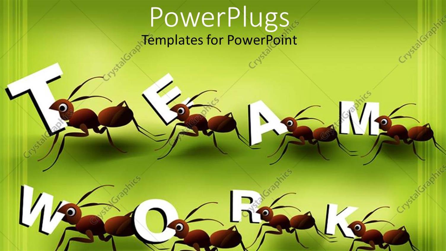 Premium Template for PowerPoint & Google Slides 