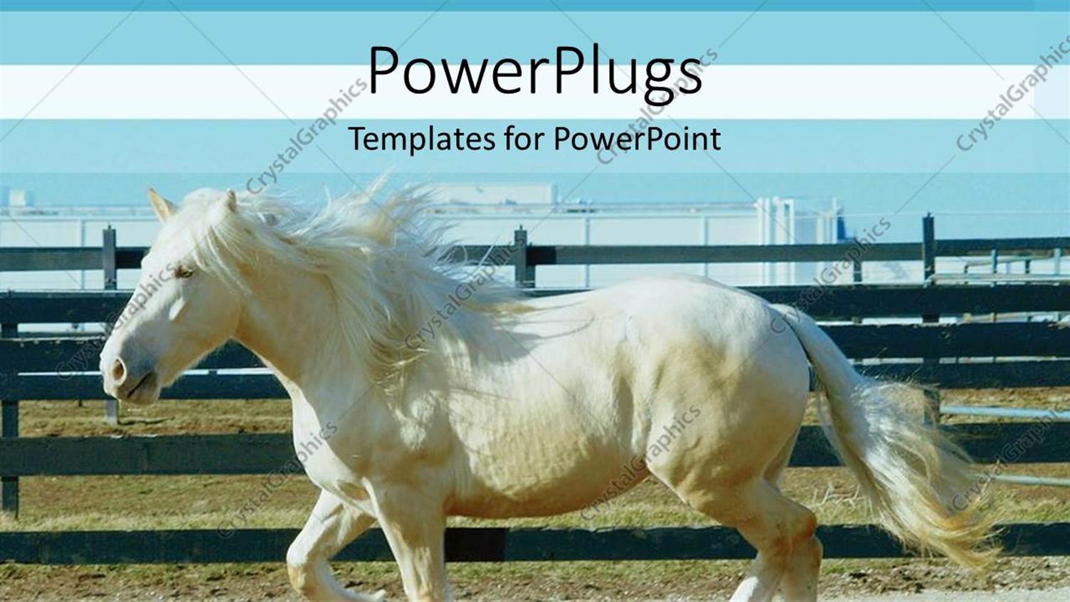 Premium Template for PowerPoint & Google Slides (16532)