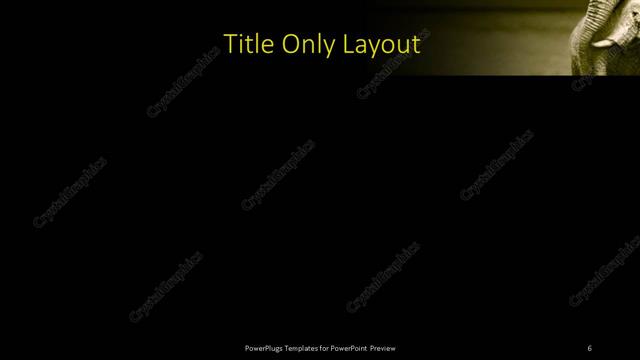 Title Only presentation slide layout
