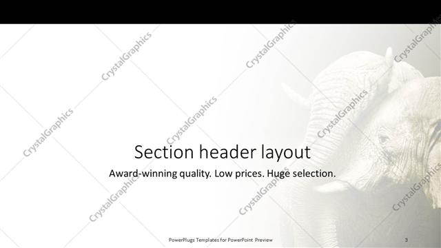 Section Header presentation slide layout