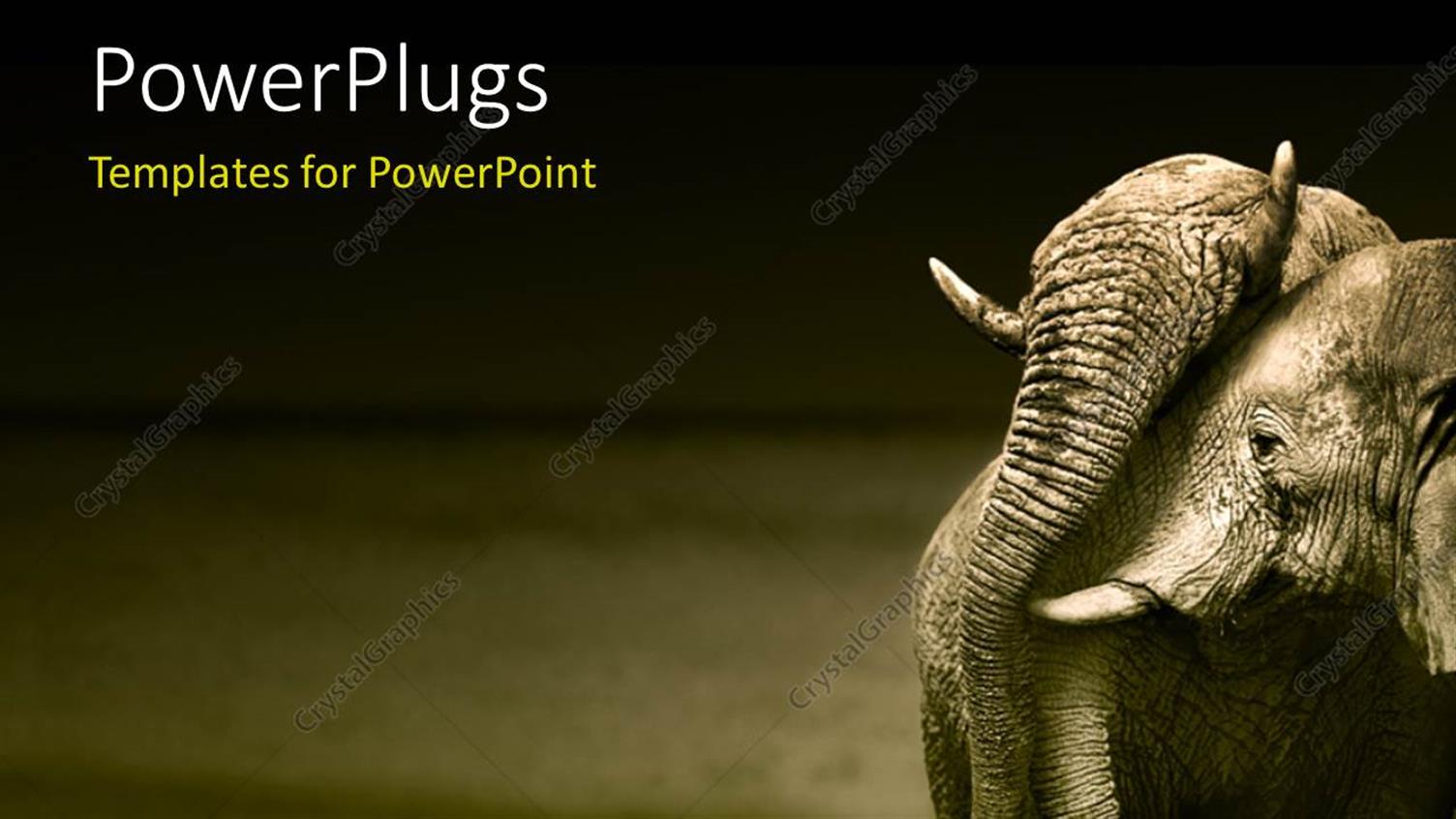 Premium Template for PowerPoint & Google Slides 