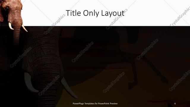 Title Only presentation slide layout