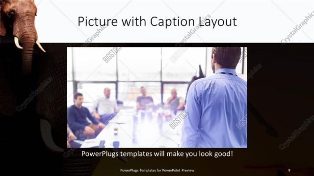 Picture with Caption presentation slide layout