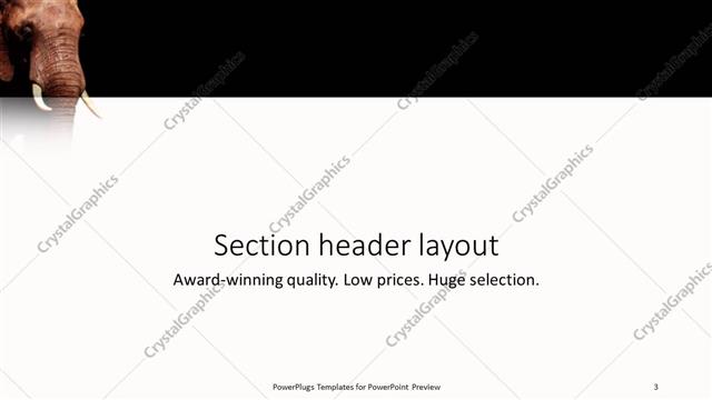 Section Header presentation slide layout