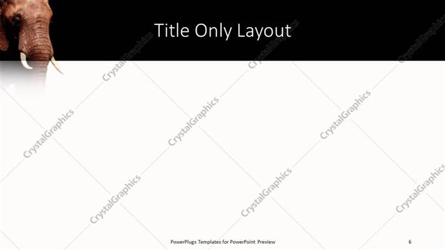 Title Only presentation slide layout