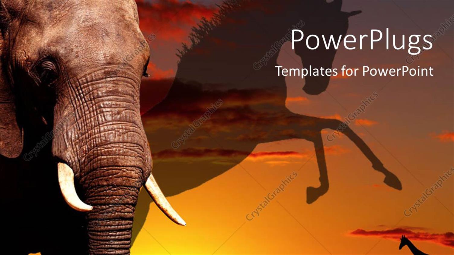 Premium Template for PowerPoint & Google Slides 