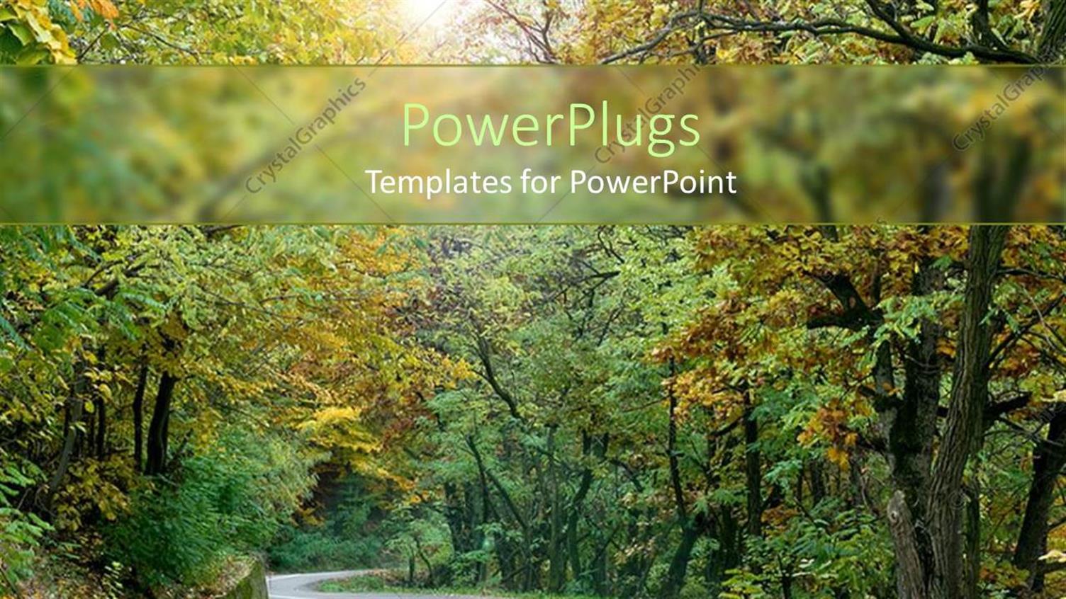 Premium Template for PowerPoint & Google Slides 