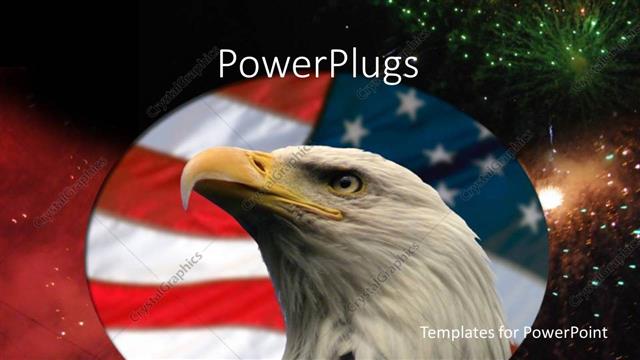  Presentation with hawk - Encircled hawk looks on in front of American flag