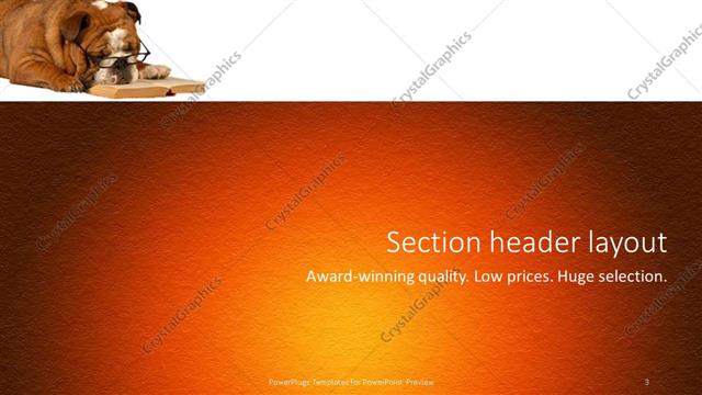 Section Header presentation slide layout