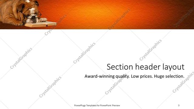 Section Header presentation slide layout