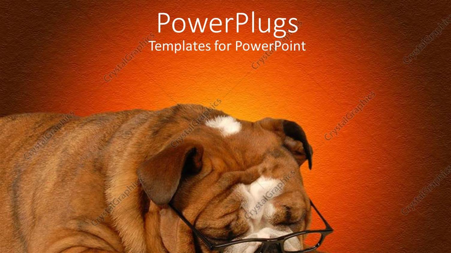 Premium Template for PowerPoint & Google Slides 