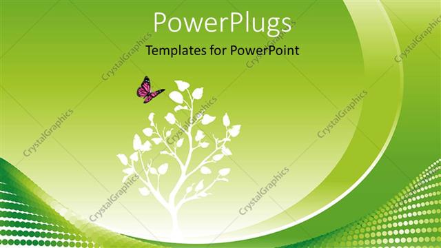  Presentation with environment - Environmental concept in green with flowers and a butterfy