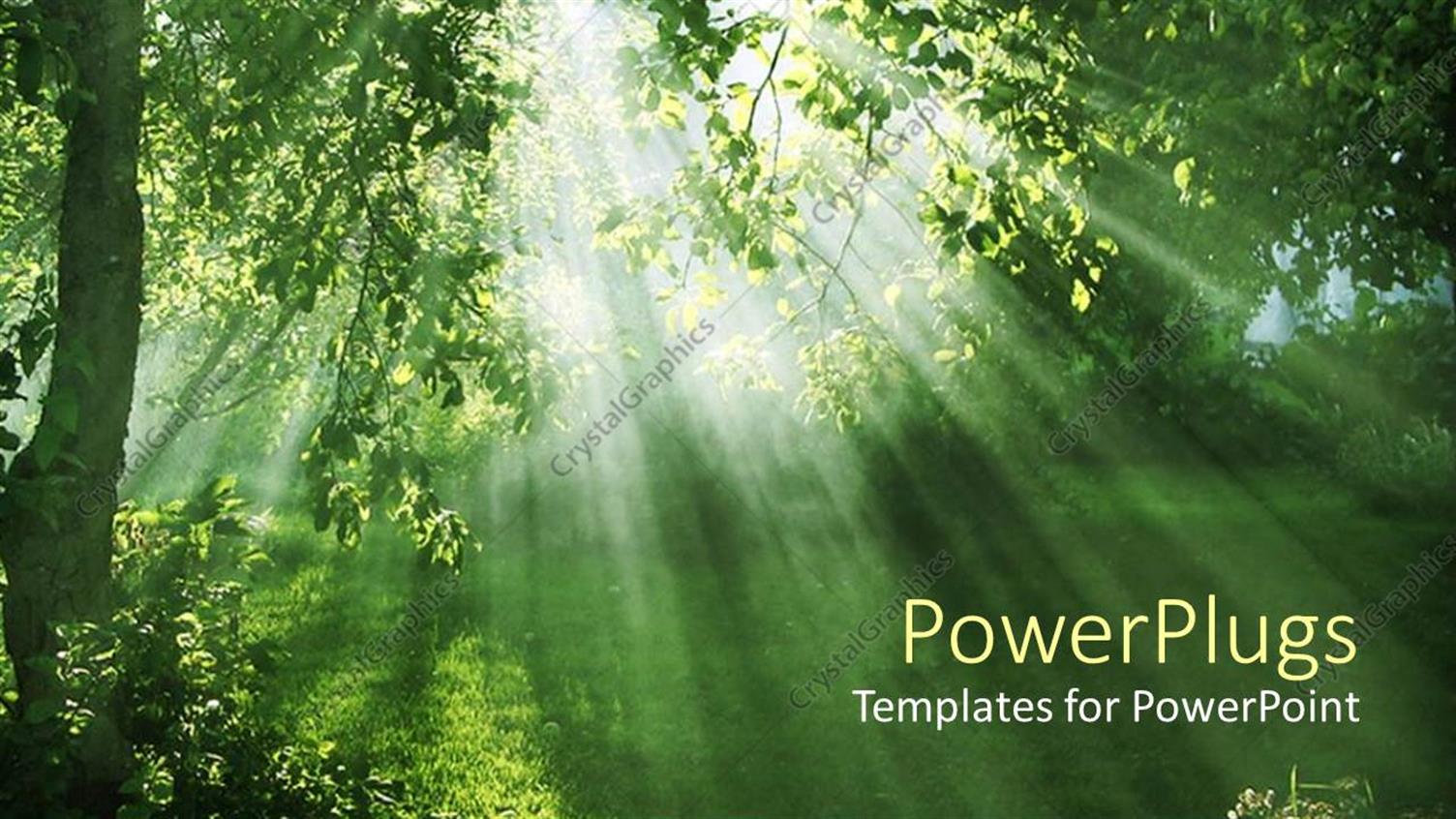 Premium Template for PowerPoint & Google Slides 