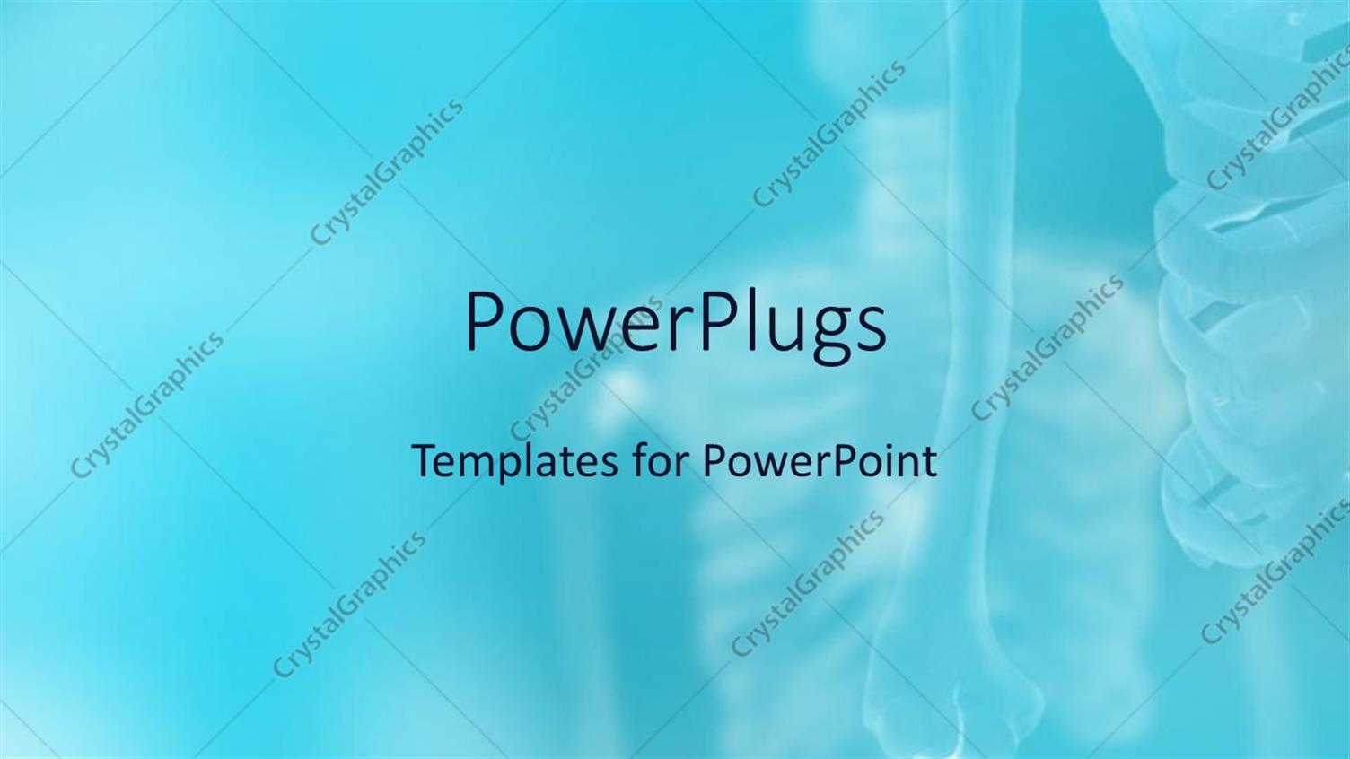Premium Template for PowerPoint & Google Slides 