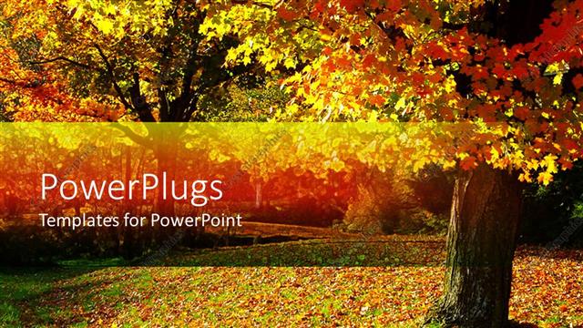  Presentation with autumn - Fall autumn landscape with trees and leaves on the ground