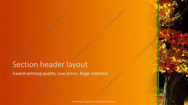 Section Header presentation slide layout