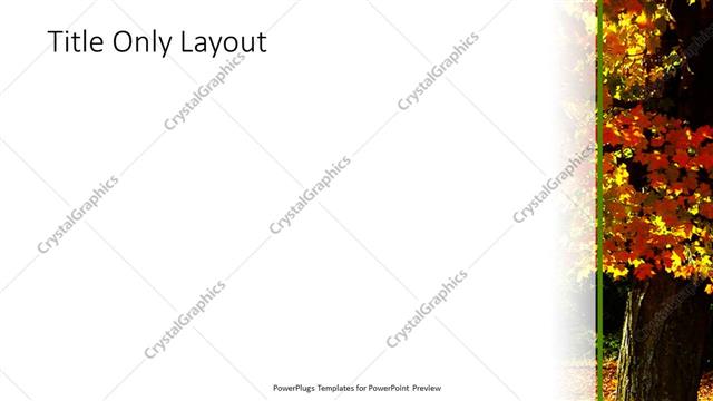 Title Only presentation slide layout