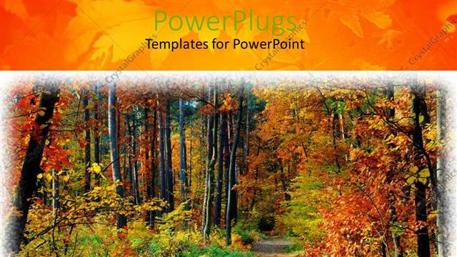 Presentation with fall colors - Fall in forest path and colorful trees