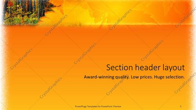 Section Header presentation slide layout