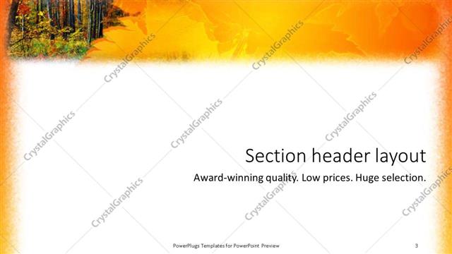 Section Header presentation slide layout