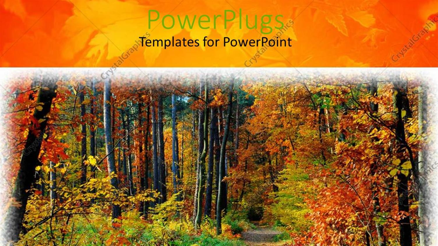 Premium Template for PowerPoint & Google Slides 