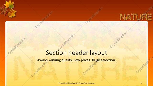 Section Header presentation slide layout