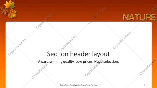 Section Header presentation slide layout