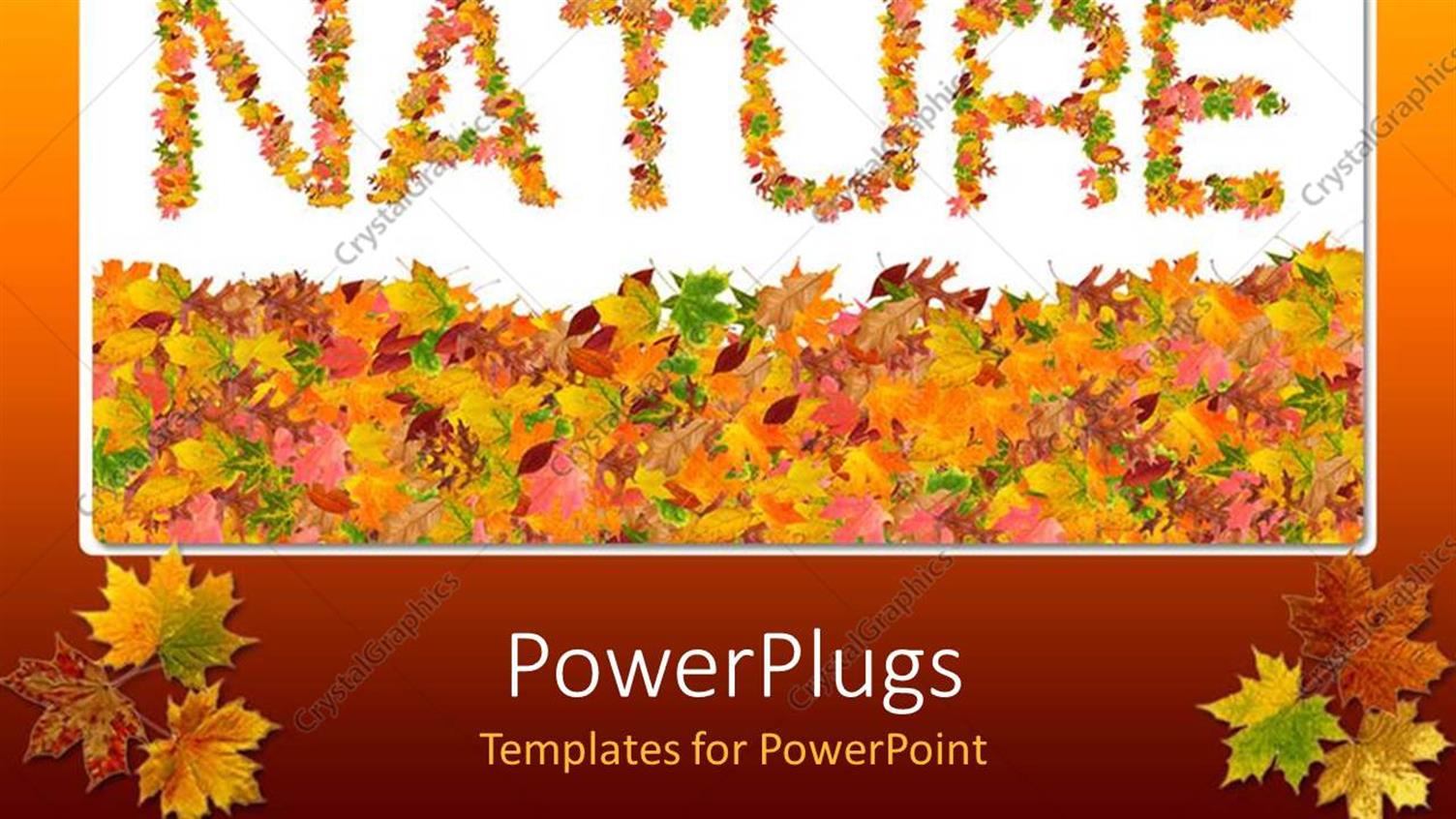 Premium Template for PowerPoint & Google Slides 