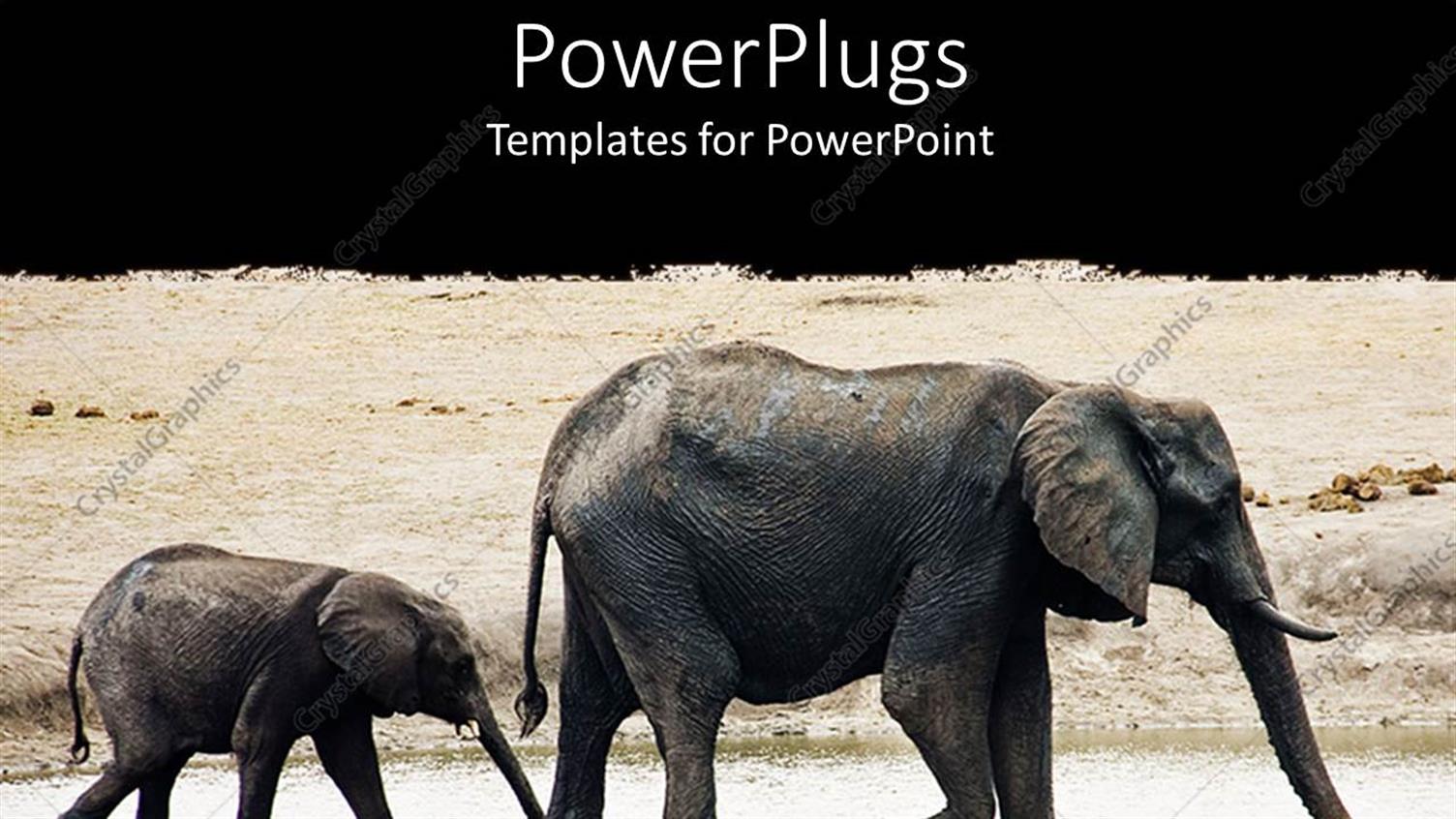 Premium Template for PowerPoint & Google Slides 