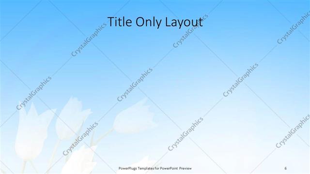 Title Only presentation slide layout