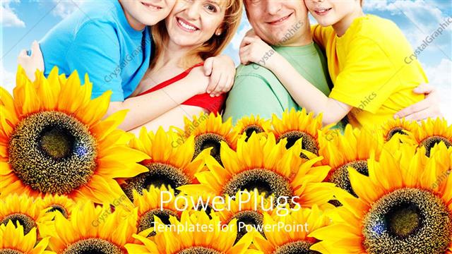  Presentation with sunflowers - Family of four smiling happily with lots of sunflowers