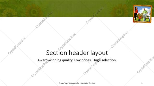 Section Header presentation slide layout